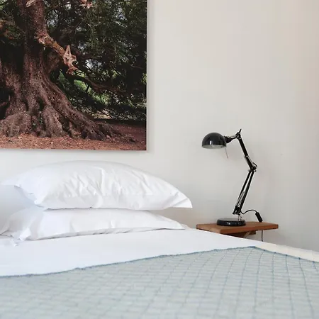 Cheese & Wine Lapa ゲストハウス リスボン