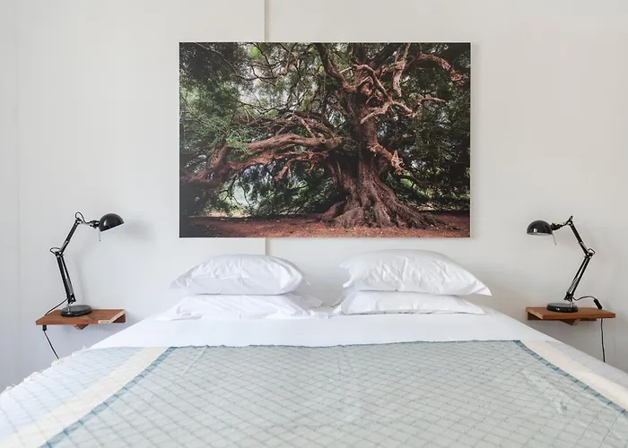 Cheese & Wine Lapa Guest house Lisbon