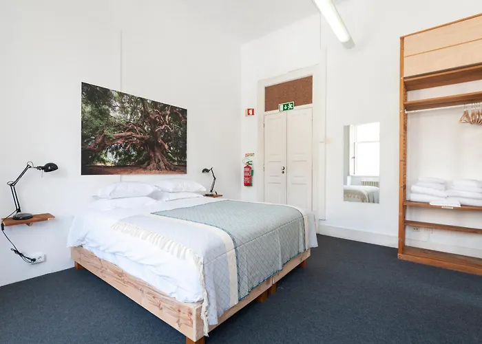 Cheese & Wine Lapa Guest house