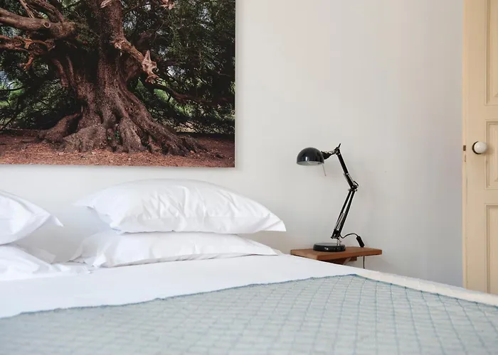 Cheese & Wine Lapa Affittacamere Lisbona